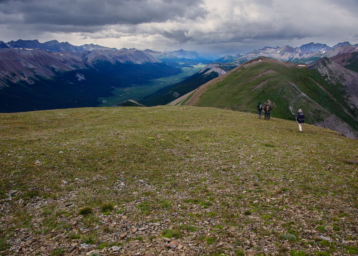 Willmore Wilderness Park, Rocky Mountains, Alberta, Canada